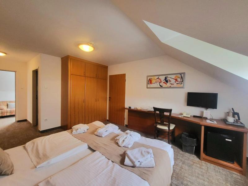 Hotel Zenit Wellness Balaton 4*